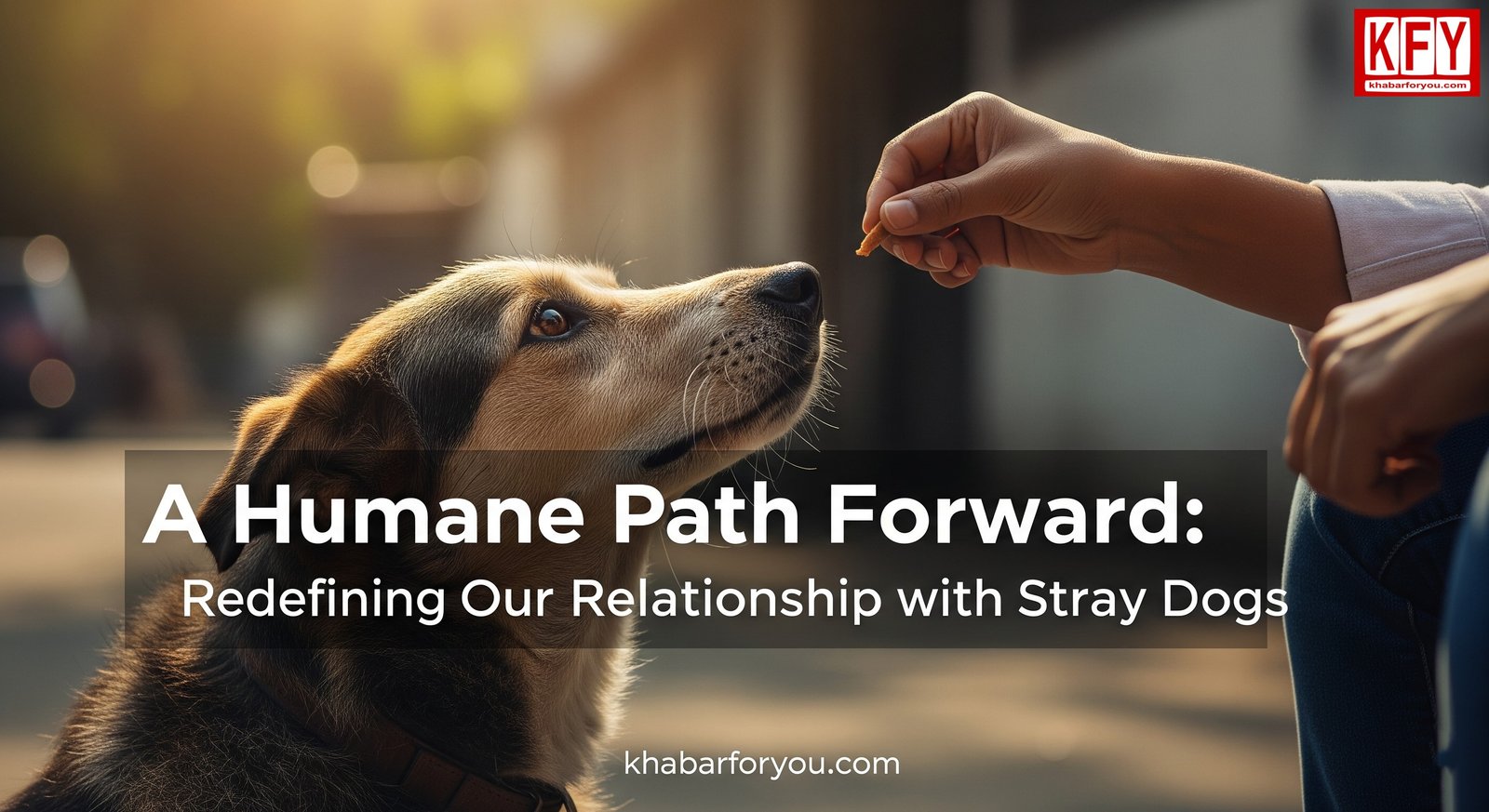 https://www.khabarforyou.com/public/uploads/images/newsimages/KFUnewsimage27082025_083047_dog .jpg
